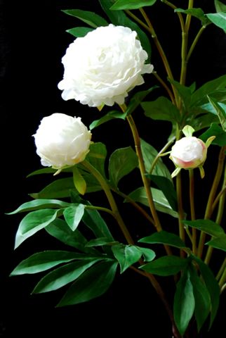 Peony_70_cm_White_5358WHT