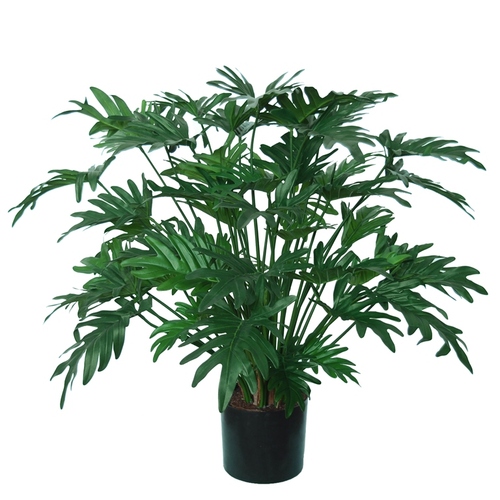 Philodendron Lux w pot 75 cm Green 5513GRN