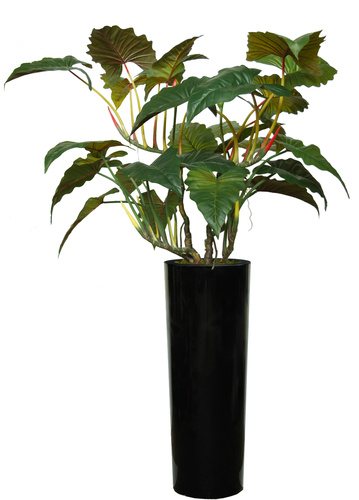 Philodendron Opal Lux 290 cm Green