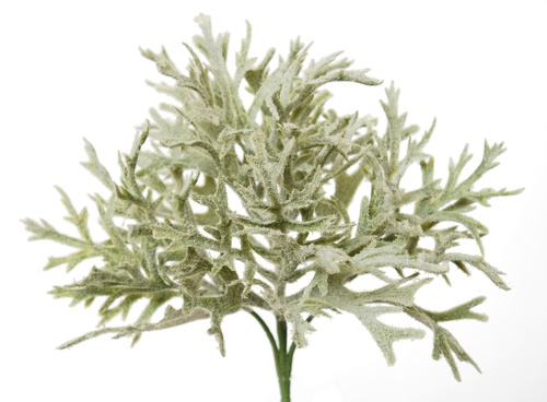 Platycerium Bush 30 cm Flocked