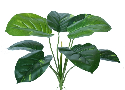 Pothos Bush 60 cm Green 5551GRN