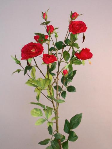 Rose_Delight_100_cm_Red_4281RED[1]