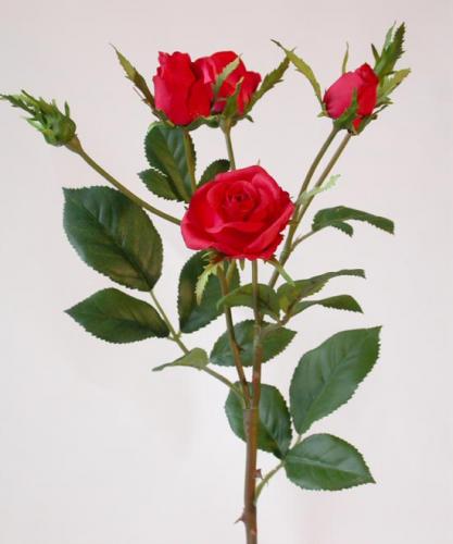 Rose_Delight_Mini_40_cm_Red_4282RED[1]