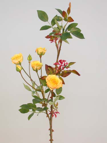 Rose_Mini_Tender_70_cm_Yellow_4010YEL[1]