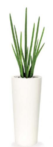 Sanseveria_cilindro_artificiale_ESEMPIO_COMPOSIZIONE[1]