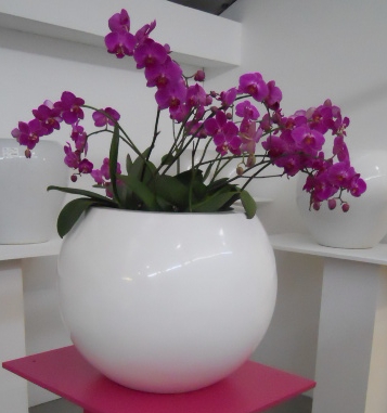 Sfera_con_orchidee