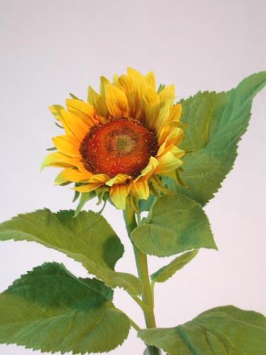 Sunflower_Sm_70_cm_Yellow_4345YEL[1]