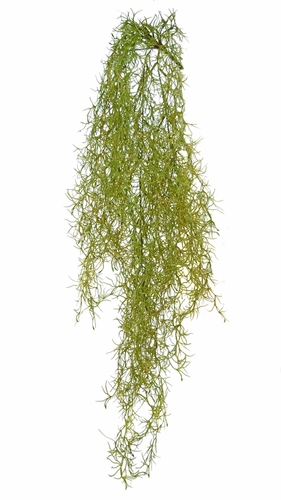 Tillandsia 90 cm Green