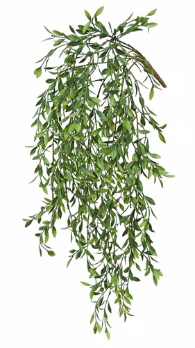 Willow Hanging 70 cm Green