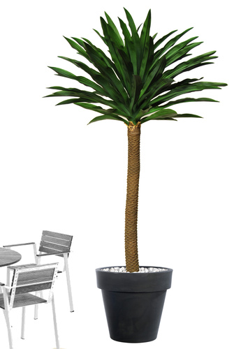 Yucca Gloriosa 270 cm Green 