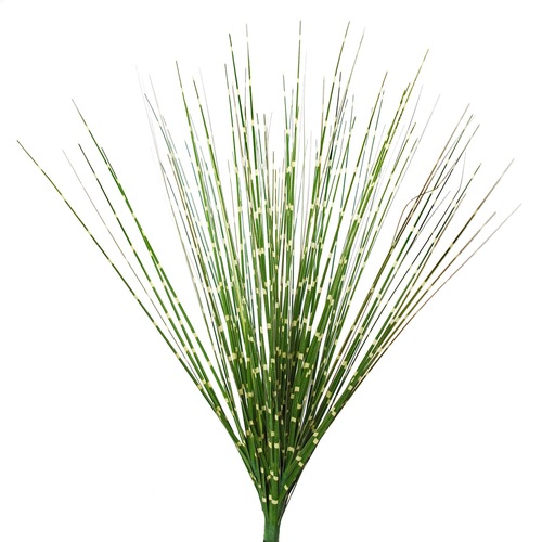 Zebra Grass Bush 40 cm Green