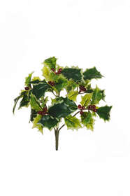 Holly h 20 cm variegated