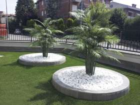 Areca palm in composizione passionecreativa