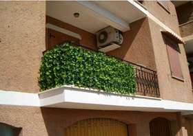 Climbing hedge application balcony