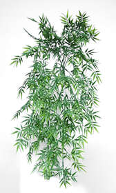 https://www.passionecreativa.it/data/upload/small/bamboo-bush-60-cm-green-5590-grn.jpg