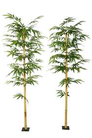 Bamboo Medium Single Tree 220 cm Green