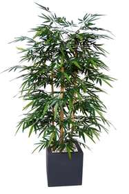 Bamboo Wild Bush 180 cm 