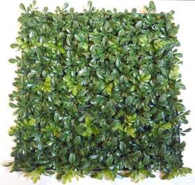 Boxwood Module artificial hedge_50_x_50 cm