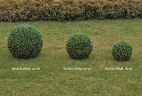 Boxwood ball_diam. 56 44 33_three measures passionecreativa