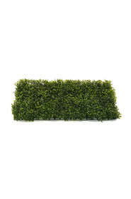 boxwood artificial mat 40x60