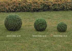 boxwood ball 3 measures diam. 33 44 56