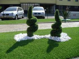 Couple Boxwood spiral h 120 cm in the garden