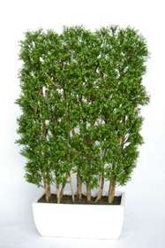 Customized Boxwood_Hedge_Green_h 180_cm