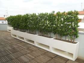 Boxwood hedge terrace Parma _PASSIONECREATIVA