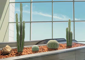 CACTUS DUE MISURE H 80 150 cm DA ESTERNO