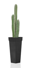 OUTDOOR CACTUS H 80 CM UV PROOF