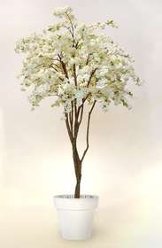 Cherry Blossom Tree 220 cm White 