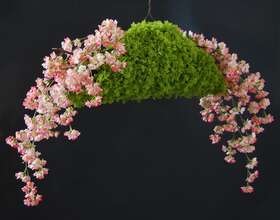 Cherry Wild Arrangement 100 cm Pink