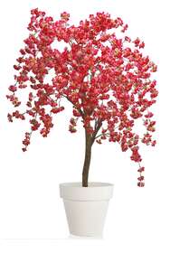 Cherry Wild Tree 150 cm Pink