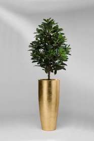 vaso cono gold leaf con FICUS CYATHISTIPULA pianta artificiale