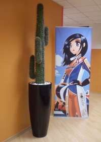 Cono_nero_cactus_mexico_ok[2]