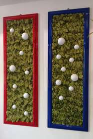 Pair of preserved lichen frames with lacquered sphere by Passionecreativa Green Design Studio