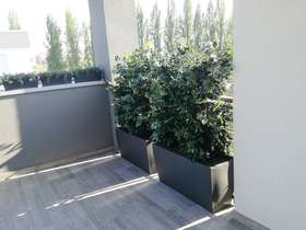 Jasmine artificial hedge h 100 terrace passionecreativa