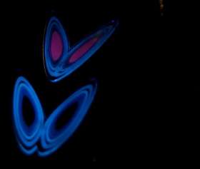 Butterflies at night