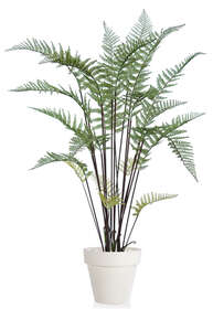 Fern Tree 155 cm Green 