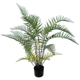 Fern Tree w pot 100 cm Green 