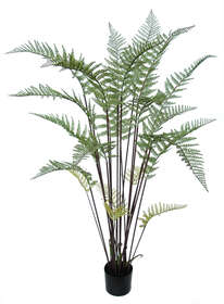 Fern Tree w pot 155 cm Green 