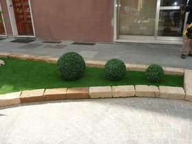 boxwood ball 3 measures diam. 33 44 56