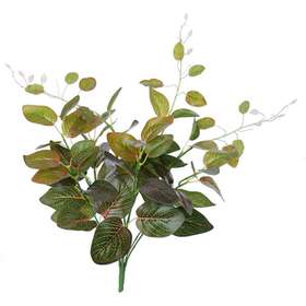 Fittonia Bush 48 cm Green Red 