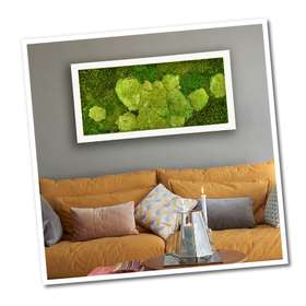 FOTO_QUADRO_MOSS