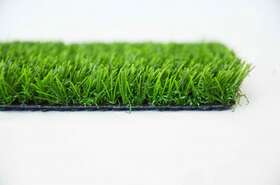detail grass