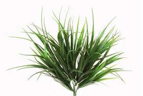 Grass Bush Vanilla 40 cm Green 