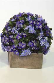 Hepatica_Semisphera_Diam_30_cm_Blue_Violet_38