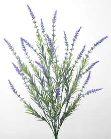 Lavander Bush 55 cm Green 