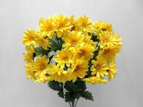 yellow daisies