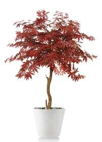 Maple Sculpture 120 cm Burgundy